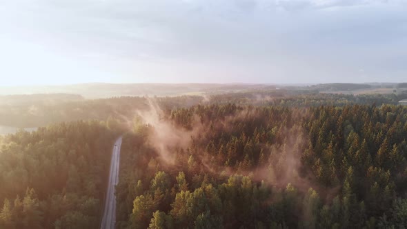 Incredible Aerial View of Forest with Moving Fog Illuminated By the Rays of Sun