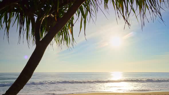 Beautiful coconut palm trees on the beach Phuket Thailand