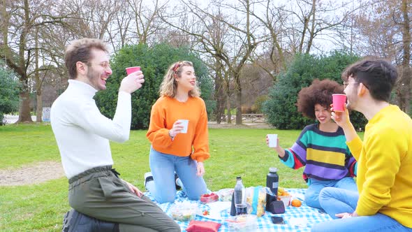 Slow motion group of friends multiethnic toasting having picnic outdoor