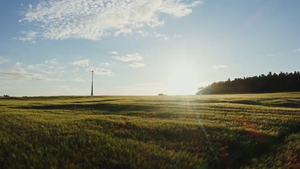 The Light of the Rising Sun Illuminates the Meadow on Which is Wind Generator