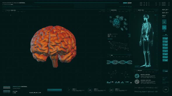 Innovative Anatomical Diagnostic Interface Scanning Brain For Medical Research alt