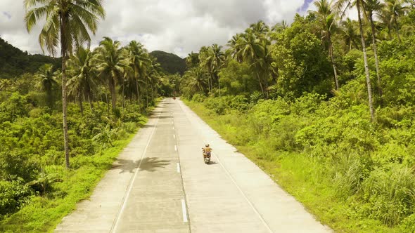 Young Couple Rides the Jungle on a Scooter, Travel, Freedom, Happiness, Vacation, Honeymoon Concept