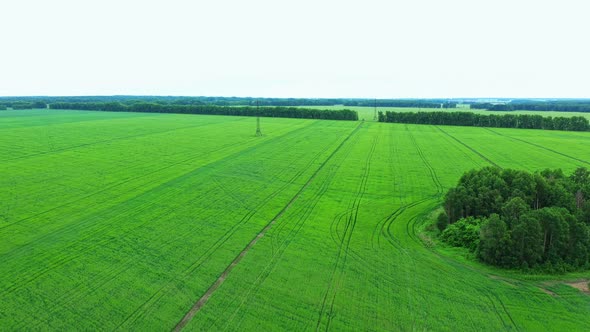 Aerial View of Agriculture Field in Countryside.