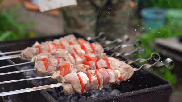 Close Up of Raw Shashlik on Skewers