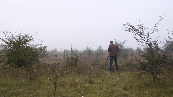 Wildlife photographer shooting a lone bison bull in mist,from behind.