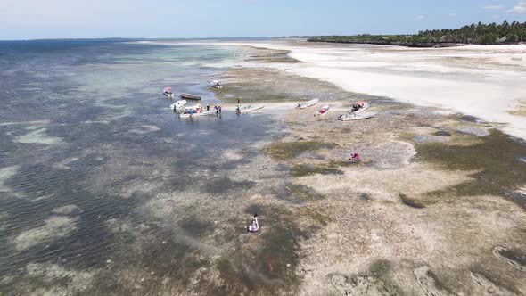 Ocean Low Tide Near the Coast of Zanzibar Island Tanzania