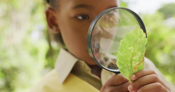 Animation of african american girl in scout costume using magnifier, looking at leaf