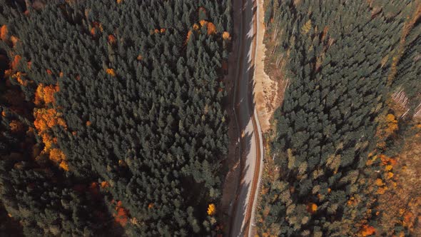 Aerial Top Down View Newly Made Asphalt Road Between Hills Green and Orange Woods