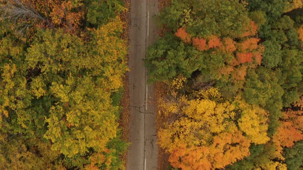 Flight Over An Old Asphalt Road In The Middle Of An Autumn Forest