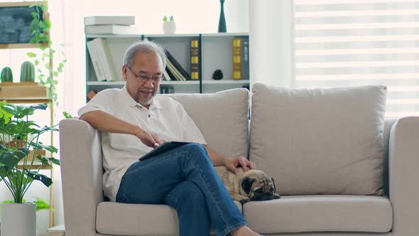 Happiness elderly asian man sitting on sofa and using computer tablet and smile with dog