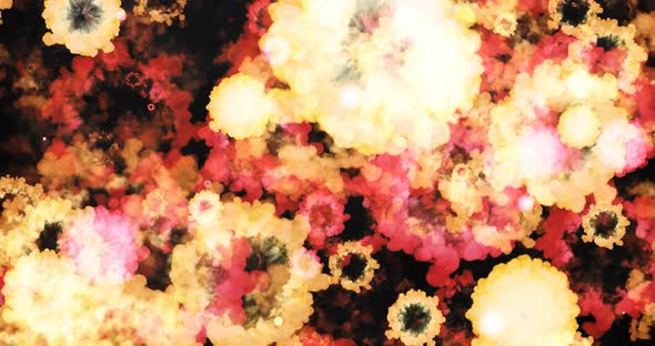 Colorful explosion animation for background design.