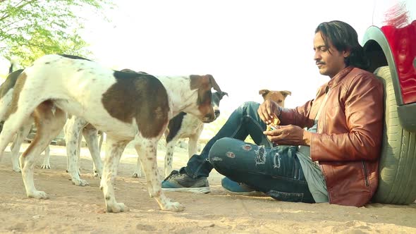 Low angle shot of young Man feeding street dogs a piece of tasty biscut from the hand.