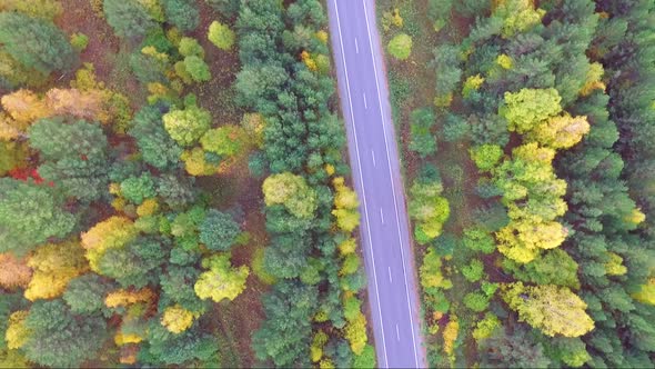 Aerial View of a Highway in an Autumnal Forest From a Drone