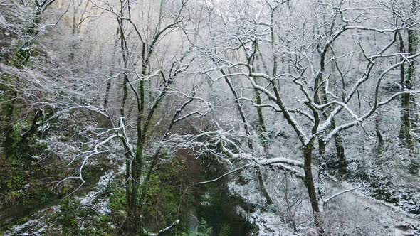 Aerial View of a Snowy Forest Among the Rocks in the Forest