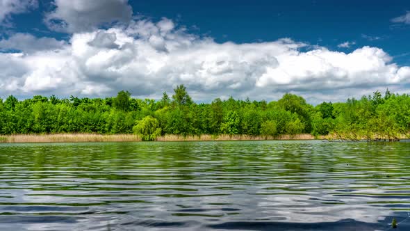 Calm lake in green city park.