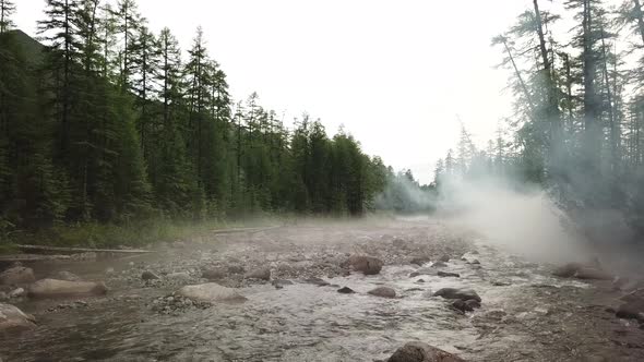 The River In The Fog