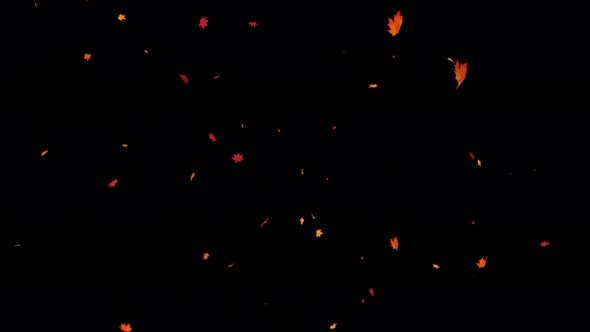 Falling Maple Leaves Loop 4K alt