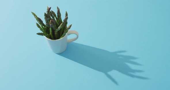 Video of fresh asparagus in white cup with copy space over blue background