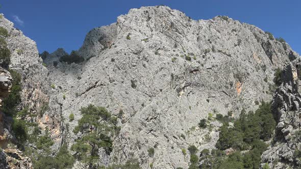 Rocky Flat Mountain Wall With Sparse Trees