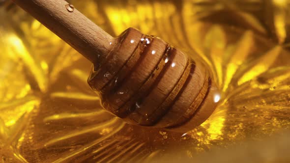Wooden Honey Spoon Dipping in Glass Bowl Full of Honey