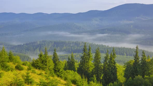 Morning Fog in a Wooded Valley