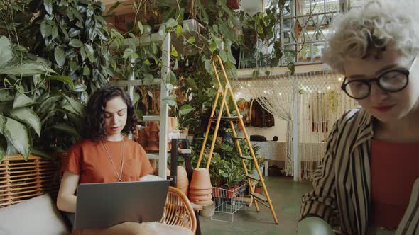 Young Female Colleagues Working on Laptop and Planting Flower