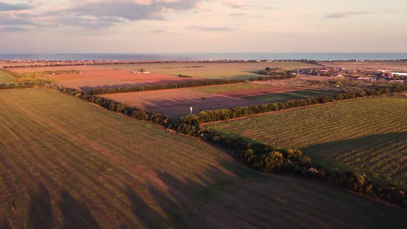 Drone view. rural land near the seashore. Agriculture. sunset