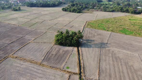 Aerial view plowed agricultural field