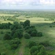 Flying Over Fields and Forest - VideoHive Item for Sale
