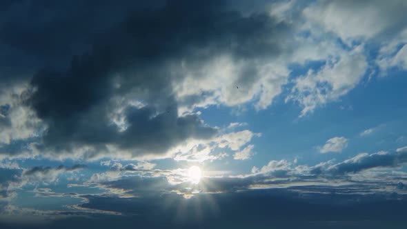 Clouds And Birds  alt