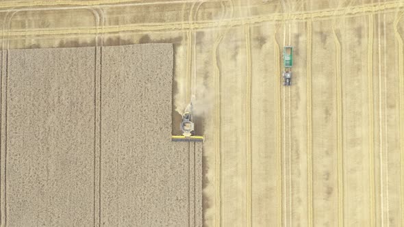 Aerial shot of combine harvester machine harvesting wheat