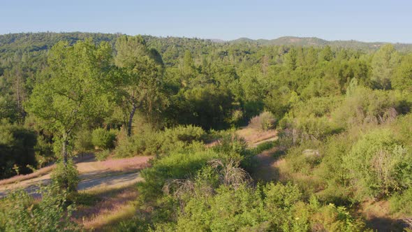 Aerial Drone Shot of Quiet and Lonely Mountain Road/Trail in California Wilderness (Ahwahnee, CA)