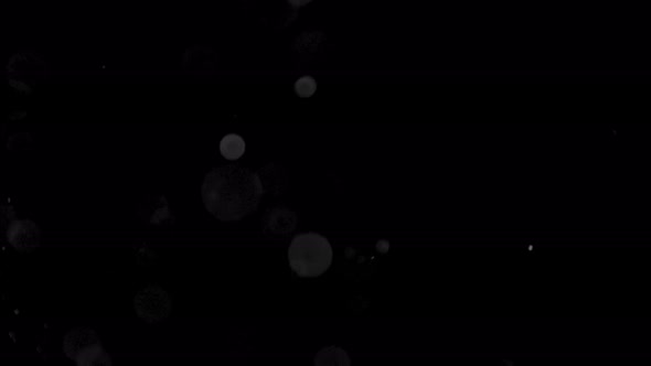 Particles in the air on a black background.