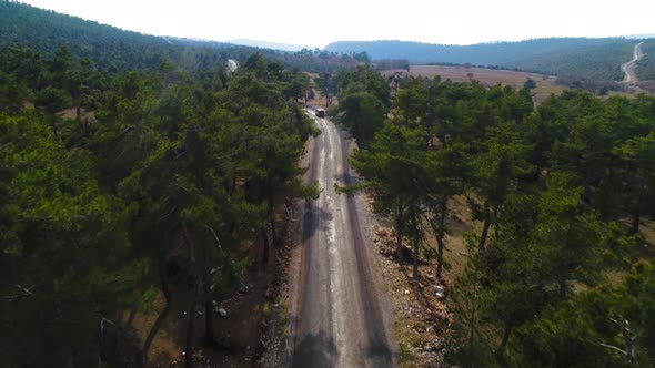 Aerial Of The Road In Forest