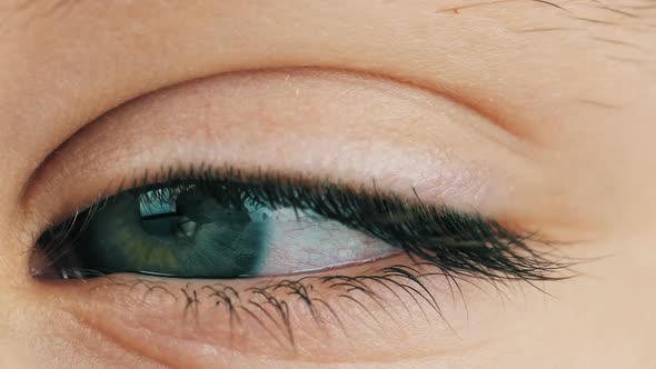 Eye of Young Woman Macro View