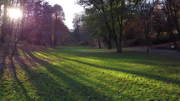 Green lawn in the autumn park.