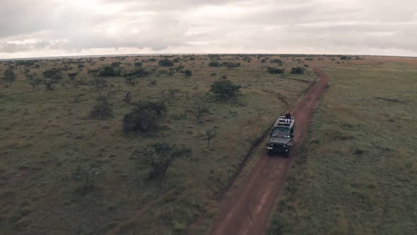 Woman sitting on top of vehicle while driving on wildlife safari holiday adventure in Kenya. Aerial 