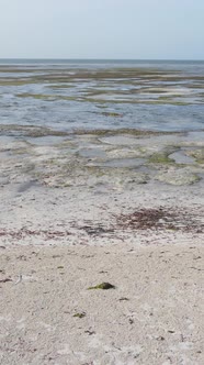 Tanzania  Vertical Video of Low Tide in the Ocean Near the Coast of Zanzibar Slow Motion