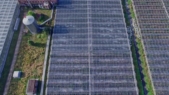 Aerial Top View of Greenhouse