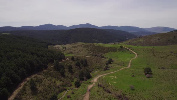 Aerial view of lush forest landscape with sandy path and tourist in off-road car exploring it summer