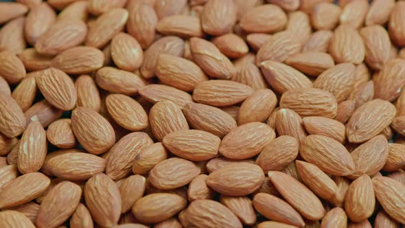 Looped Spinning Almond Closeup Full Frame Background