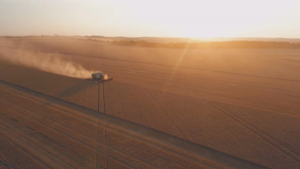 Combine Machine Working in Wheat Field at Sunse, Agriculture Machine Harvesting Golden Ripe Wheat