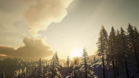 Majestic Winter Landscape Glowing By Sunlight alt
