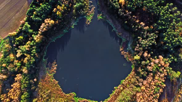 Top down view of lake and forest in autumn, Poland