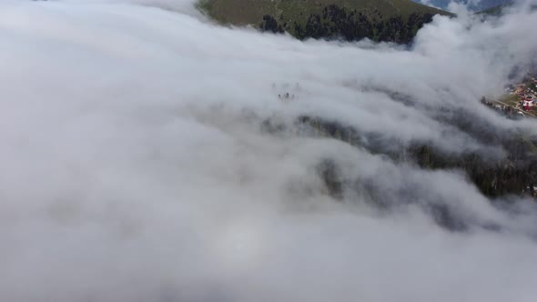 Cloud and forest aerial view