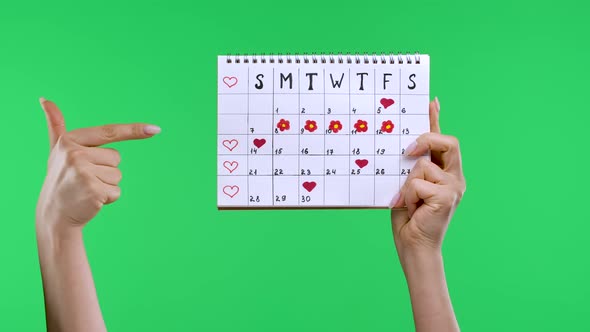 Female Hands Hold a Woman's Periods Calendar for Checking Menstruation Days Isolated on Green Screen