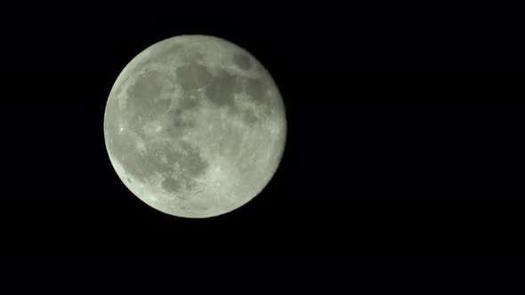 Full Moon in the Night Sky