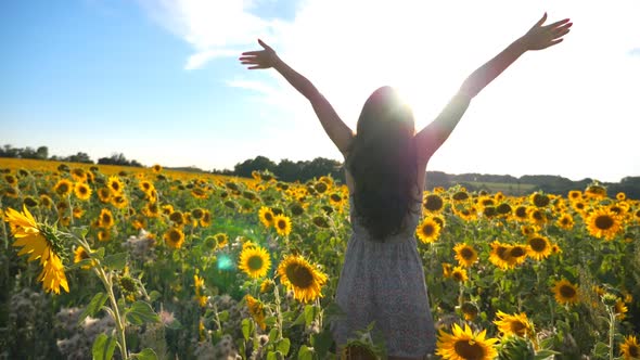 Young Inspired Girl with Raised Hands Standing Among Field with Sunflowers Showing Joyful Emotions