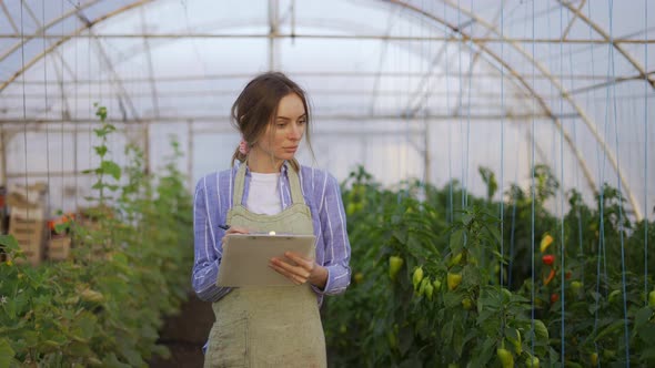 Portrait of Young Woman Farmer in Indoor Greenhouse Accounting Using Tablet