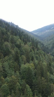 Carpathian Mountains